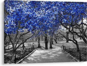 Obrázok - Modré stromy, Central Park, New York (70x50 cm)