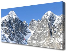 Obraz Canvas Hora sneh príroda 120x60 cm