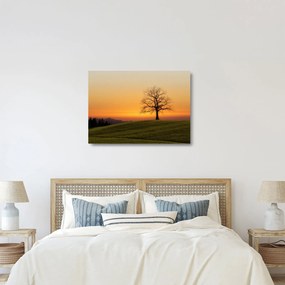Sklenený obraz západu slnka na lúke (70x50 cm)