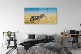 Obraz na akrylátovom skle Zebra box 140x70 cm