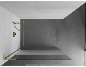 Mexen Kioto L, sprchová zástena Walk-In 100 x 200 cm, 8mm číre sklo-námraza, zlatý matný profil, 800-100-103-55-35