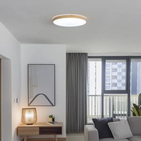 Brilagi - LED stlmiteľné stropné svietidlo PINE LED/60W/230V + diaľkové ovládanie