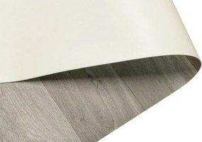 PVC podlaha TITAN WILLOW OAK 969M béžová / sivá