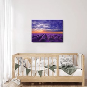 Sklenený obraz levanduľového pole (70x50 cm)