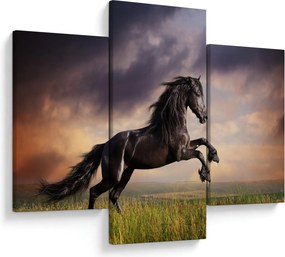 Obraz - Kone (90x60 cm)