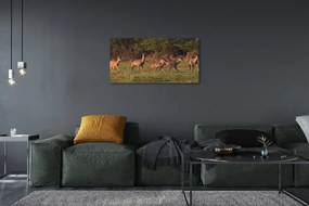 Obraz na plátne Deer Golf svitania 125x50 cm