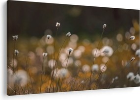 Obraz - Lúka s cottongrass N⁰2 (90x60 cm)