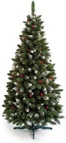 Limpol Borovica Iza s červenými bobuľami 1,80 m