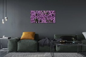 Obraz canvas fialové kvety 140x70 cm
