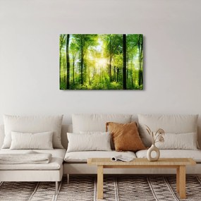 Obraz - Svitanie v lese (90x60 cm)