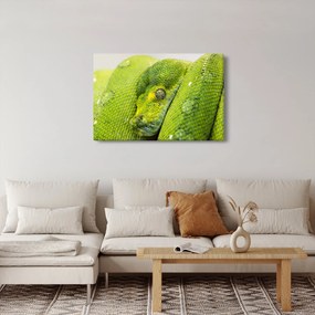 Obraz hada (90x60 cm)