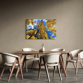 Obraz - Aspen (90x60 cm)