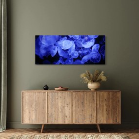 Obraz - Medúzy (120x50 cm)