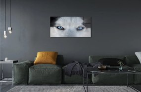 Sklenený obraz wolf Eyes 100x50 cm