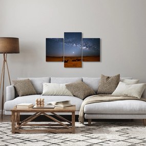 Obraz - Noc v púšti (90x60 cm)