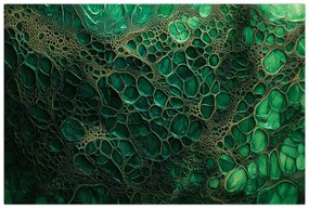 Obraz - Zelený mikroskopický záber (90x60 cm)