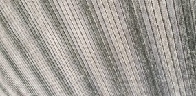 Koberec Saloon Grey – sivý pruhovaný vzor, nízky vlas Rozmer: 80x200 cm