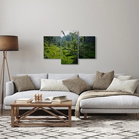 Obraz ryžových terás Tegalalang, Bali (90x60 cm)