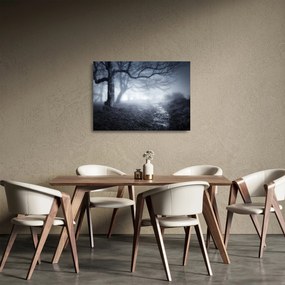 Sklenený obraz - Cesta v hmle (70x50 cm)
