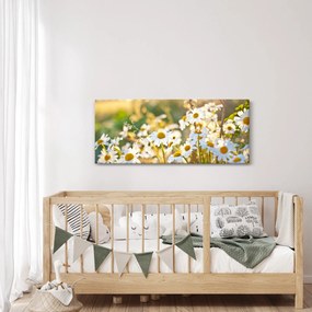 Obraz - Margaréta (120x50 cm)