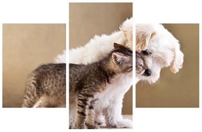 Obraz mačky so psom (90x60 cm)