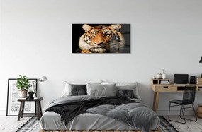 Sklenený obraz tiger 140x70 cm