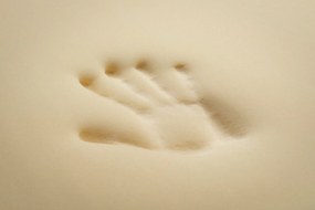 Matrac Cashmere DreamBed - 90x200cm