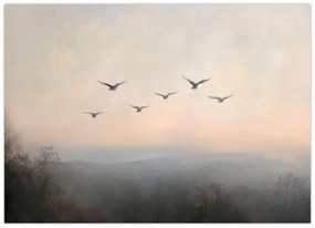 Obraz - Hejno vtákov (70x50 cm)