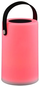 LED solárne vonkajšie svietidlo (výška 21 cm) Garcia – Trio