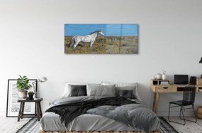 Obraz na akrylátovom skle Unicorn golf 120x60 cm