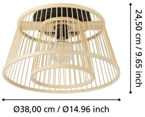 Eglo 43851 - Stropné svietidlo HYKEHAM 1xE27/40W/230V