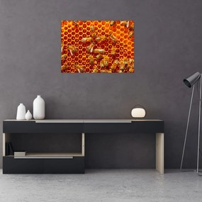 Obraz - Medový plást (70x50 cm)
