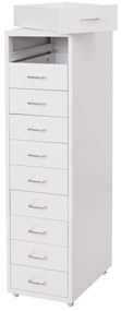 Zásuvková skrinka Boston T851 - 110x28x41cm, 10 zásuviek - biela