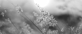 Obraz - Jesenná lúka (120x50 cm)