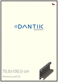 DANTIK rám na obraz 70x100 | ALU Dýha černá (Plexi Čiré)