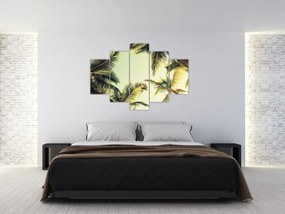 Obraz s kokosovými palmami (150x105 cm)