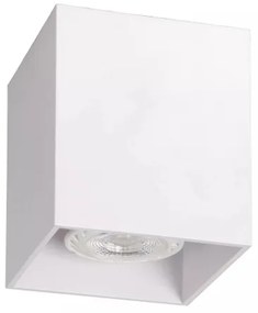 Lucide 09101/01/31 - Bodové svietidlo BODI 1xGU10/50W/230V