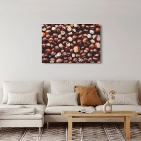 Obraz - Zrelé gaštany (90x60 cm)