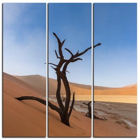 Obraz na plátne - Mŕtvy strom v dunach - štvorec 3130B (105x105 cm)