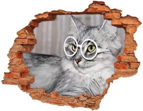 Fototapeta diera na stenu 3D Mačka s okuliarmi nd-c-115959381