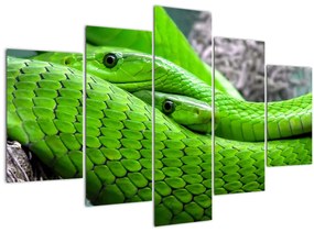 Obraz zelených hadov (150x105 cm)