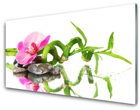 Obraz plexi Bambus kvet kamene umenie 140x70 cm