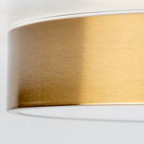Brilagi - LED kúpeľňové stropné svietidlo POOL LED/24W/230V pr. 30 cm IP54 bronz