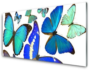 Obraz na akrylátovom skle Motýle príroda 140x70 cm