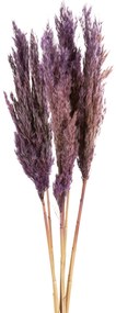 Dekoračný kvet 730 cm, tráva 27 cm fialková