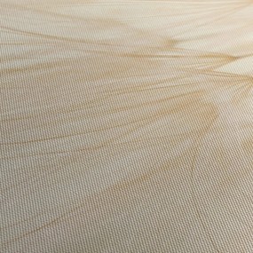 Obraz - Detaily kvetu (70x50 cm)