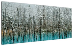 Obraz - Tyrkysový rybník, Biei, Japonsko (120x50 cm)