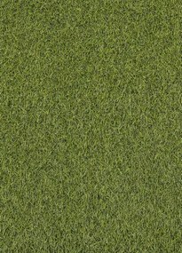 Koberce Breno Umelá tráva SPECTAL 2015, šíře role 400 cm