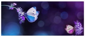 Obraz - Motýle na levanduli (120x50 cm)