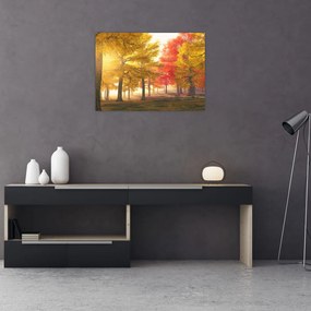 Obraz jesenných stromov (70x50 cm)